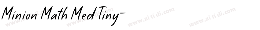 Minion Math Med Tiny字体转换